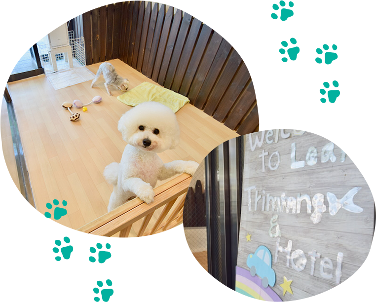 ワンちゃんの“第2のおうち” サロン案内